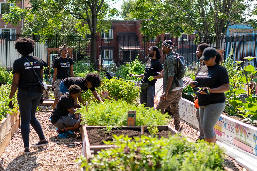 Black Climate Week Garden