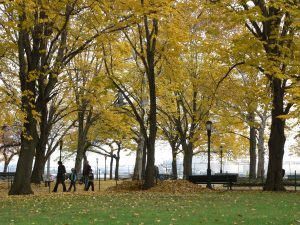 East River Park