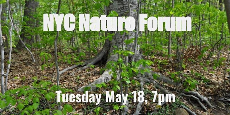 NYC Mayor Nature Forum