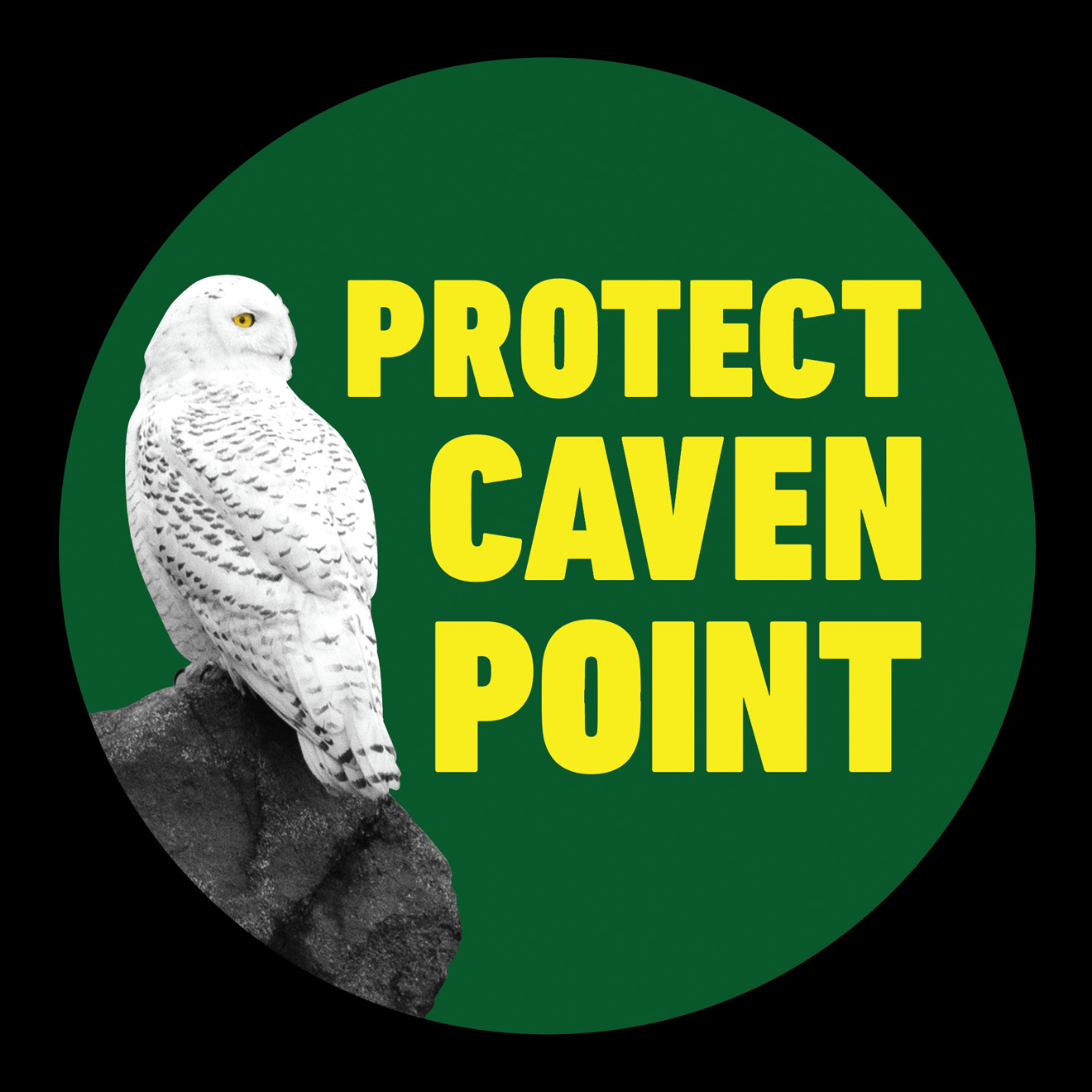 Protect Caven Point and Snowy Owl