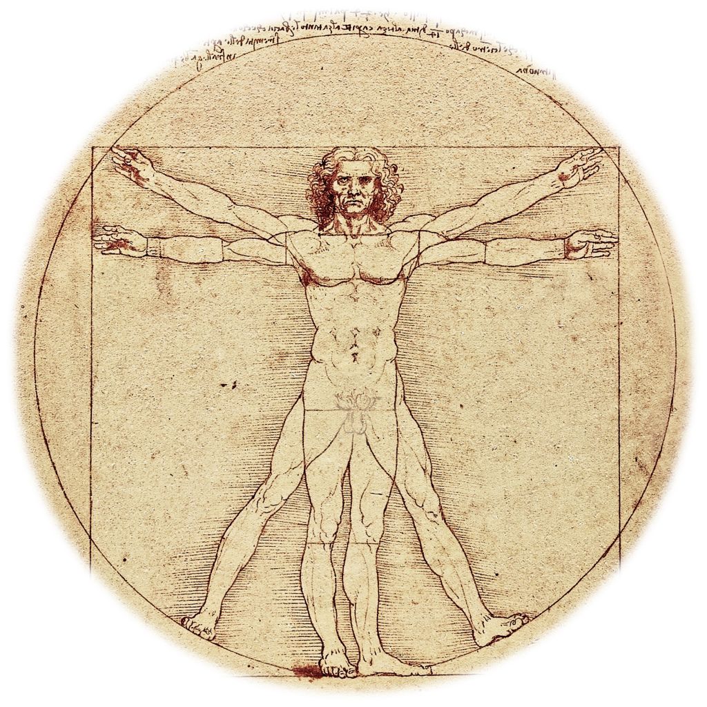 Leonardo da Vinci - human anatomy
