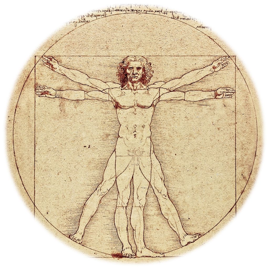 Leonardo da Vinci - human anatomy