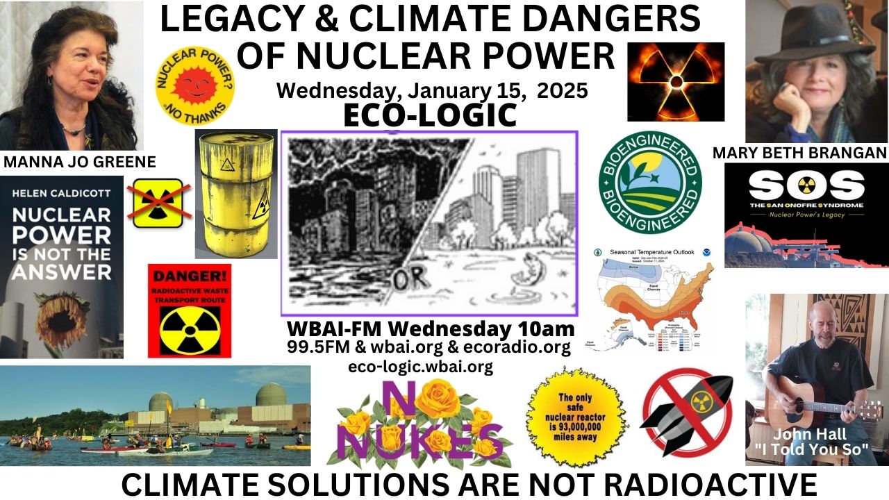 meme Eco-Logic 1-15-25 Nukes