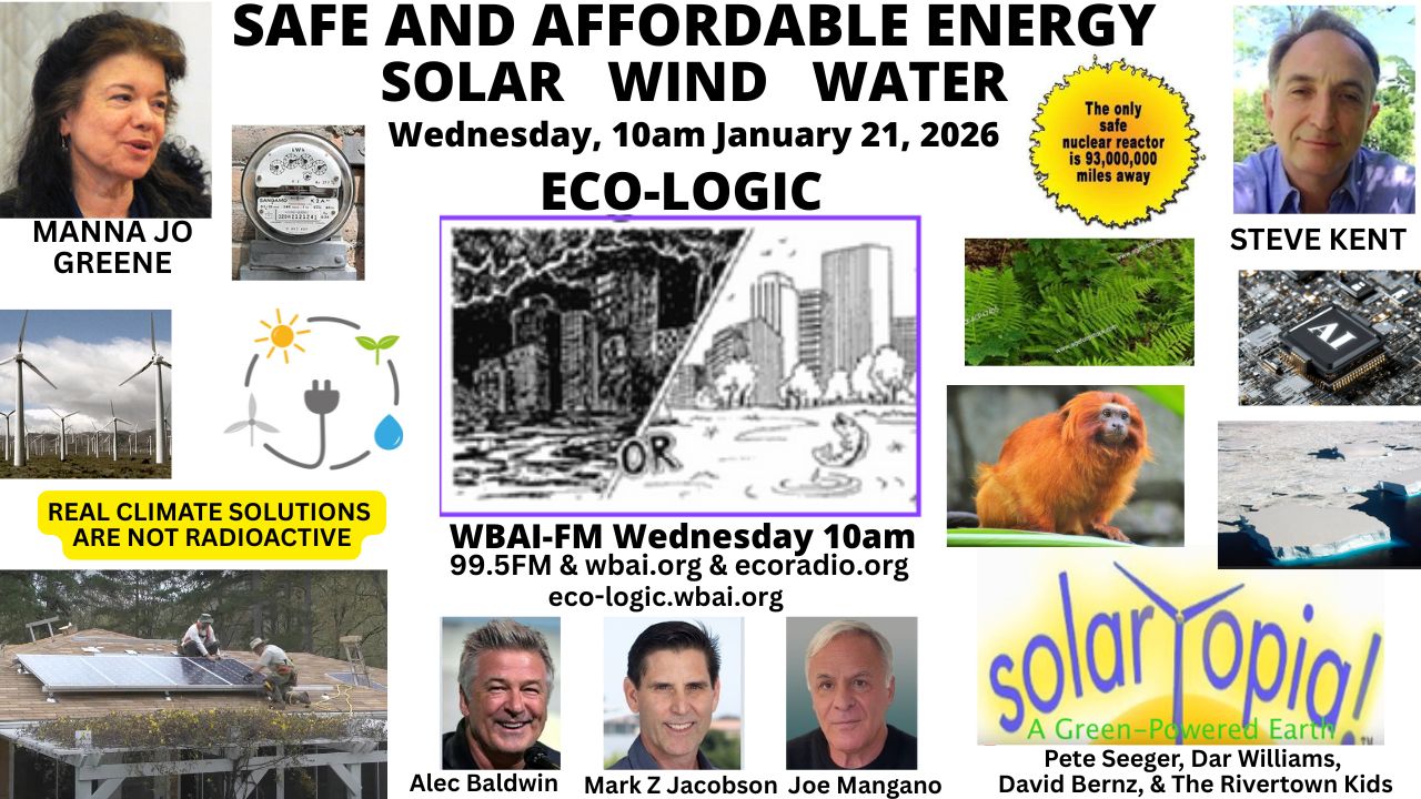 meme Eco-Logic 1-21-26 Safe Affordable Energy