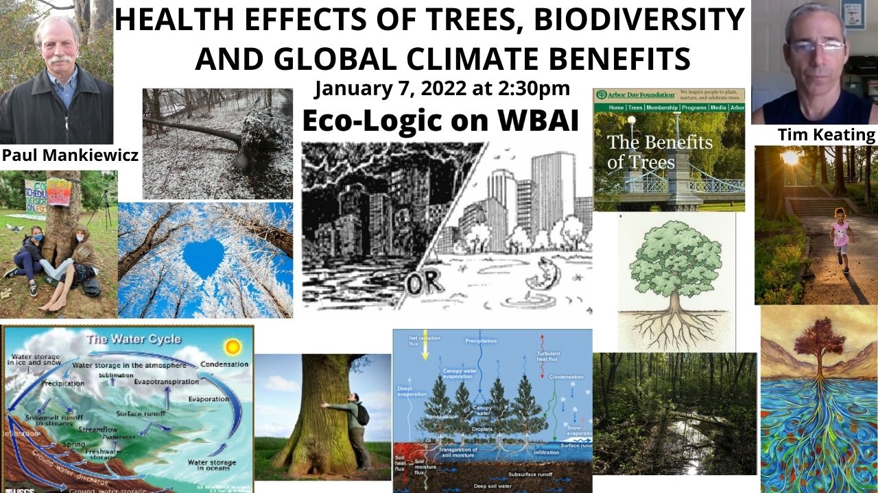 meme 1-5-22 Trees- Global and Health Effects Eco-Logic