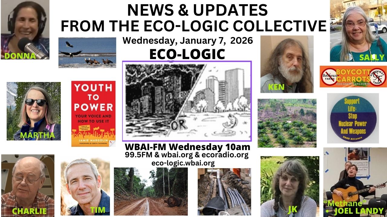 meme Eco-Logic 1-7-26 Eco-Logic Collective Updates