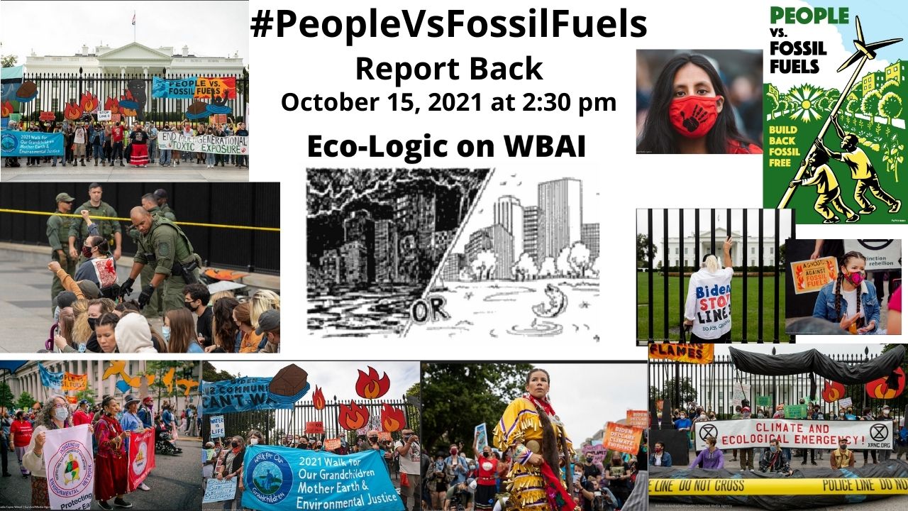 meme Eco-Logic 10-15-21 People vs Fossil Fuels Report