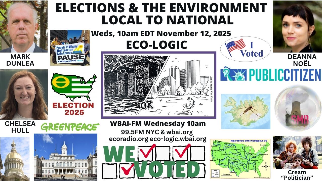 meme Eco-Logic 11-12-25 Elections