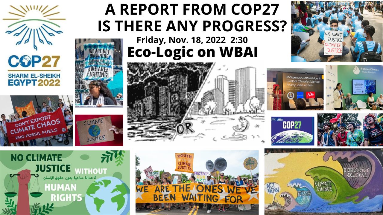 Eco-Logic meme 11-18-22 Report from COP27