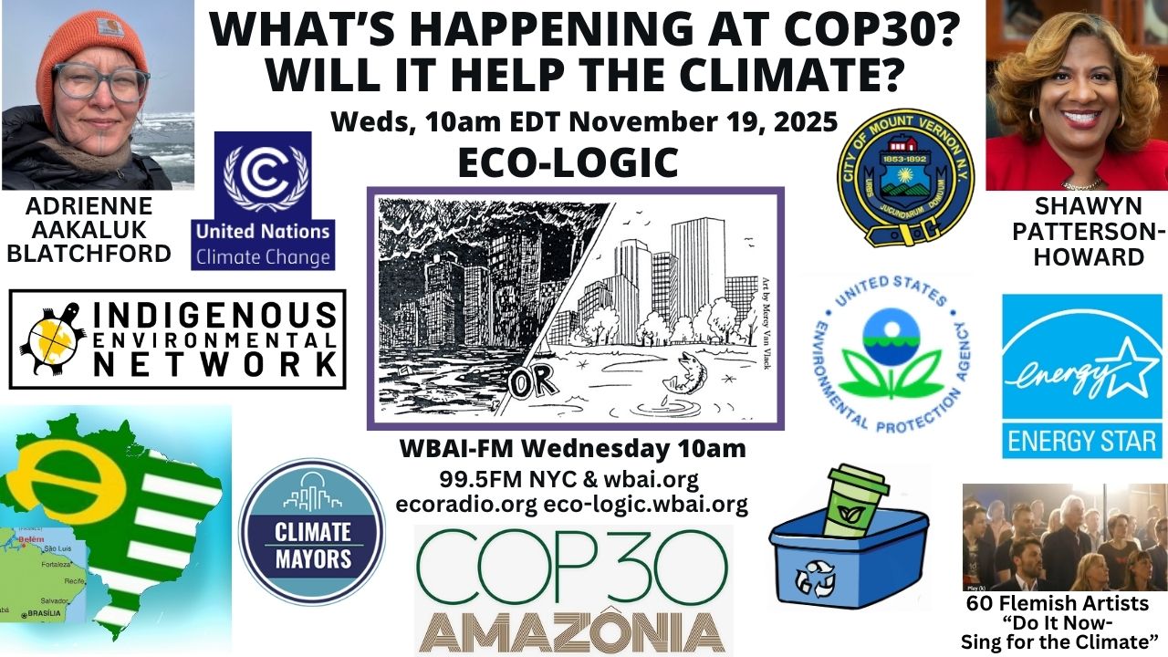 meme Eco-Logic 11-19-25 COP30