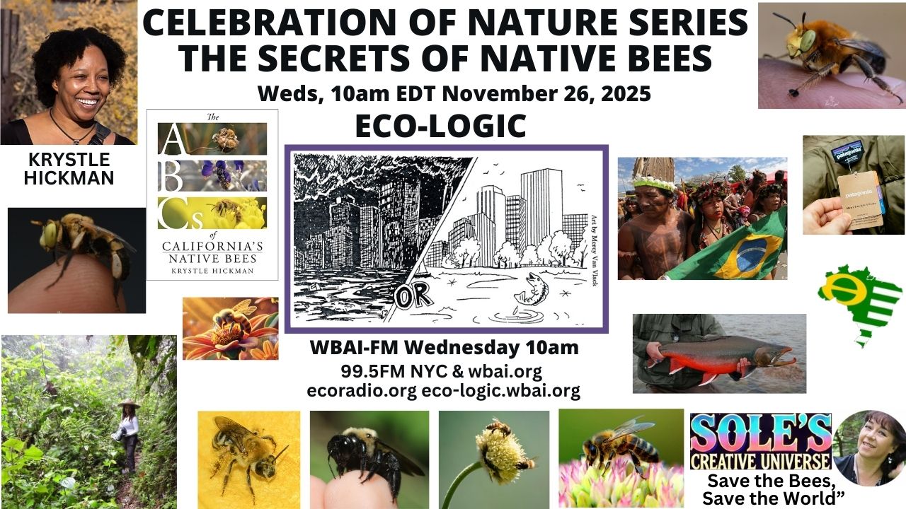 meme Eco-Logic 11-26-25 Native Bees