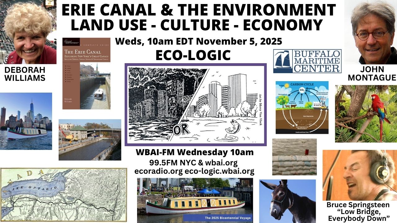 meme by Donna Stein with Sally Gellert, logo art by Mercy Van Vlack