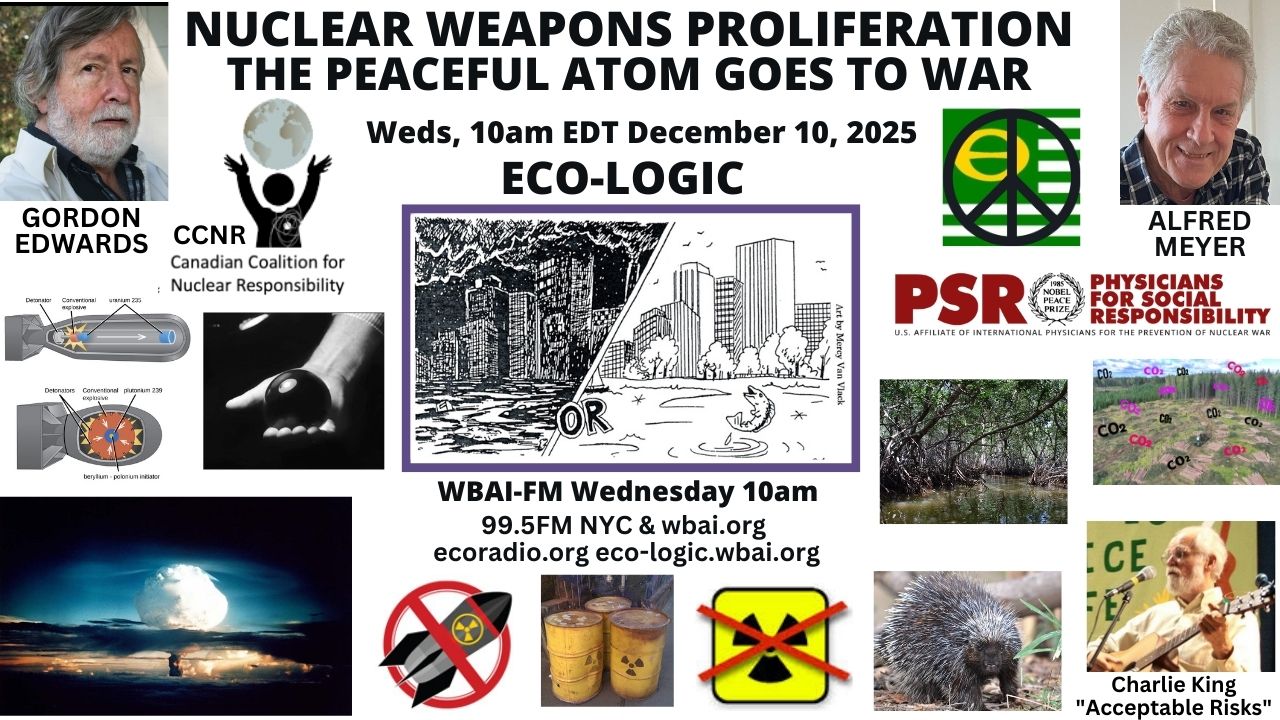 meme Eco-Logic 12-10-25 Nuke Proliferation