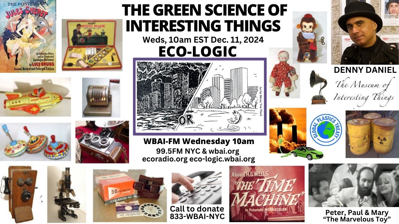 meme Eco-Logic 12-11-24 Museum of Interesting Things