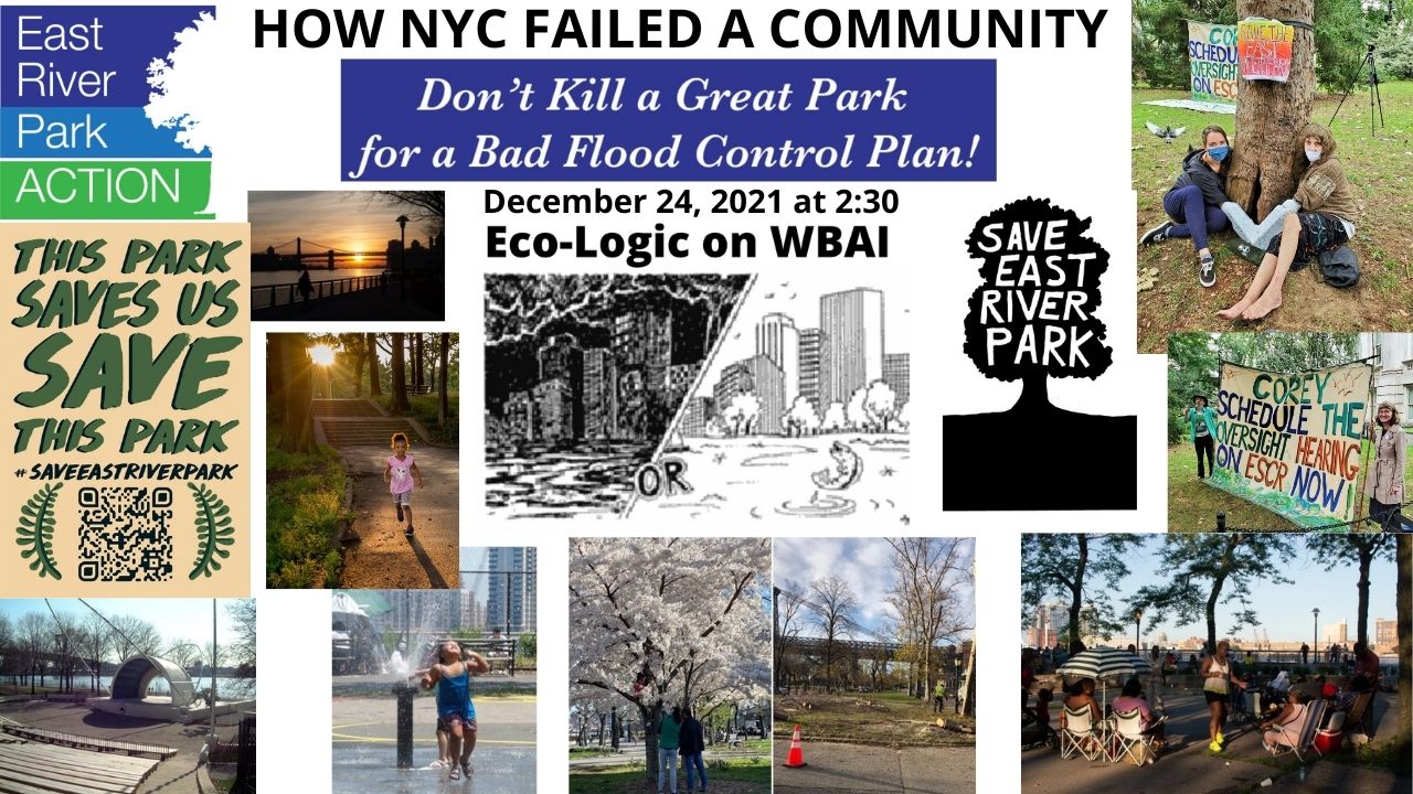 Eco-Logic meme 12-23-21 East River Park