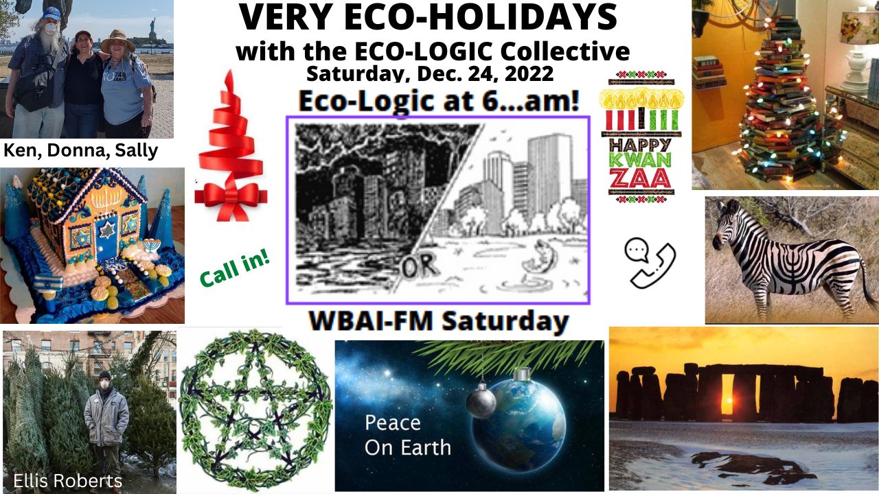 meme 12-24-22S Eco-Holiday