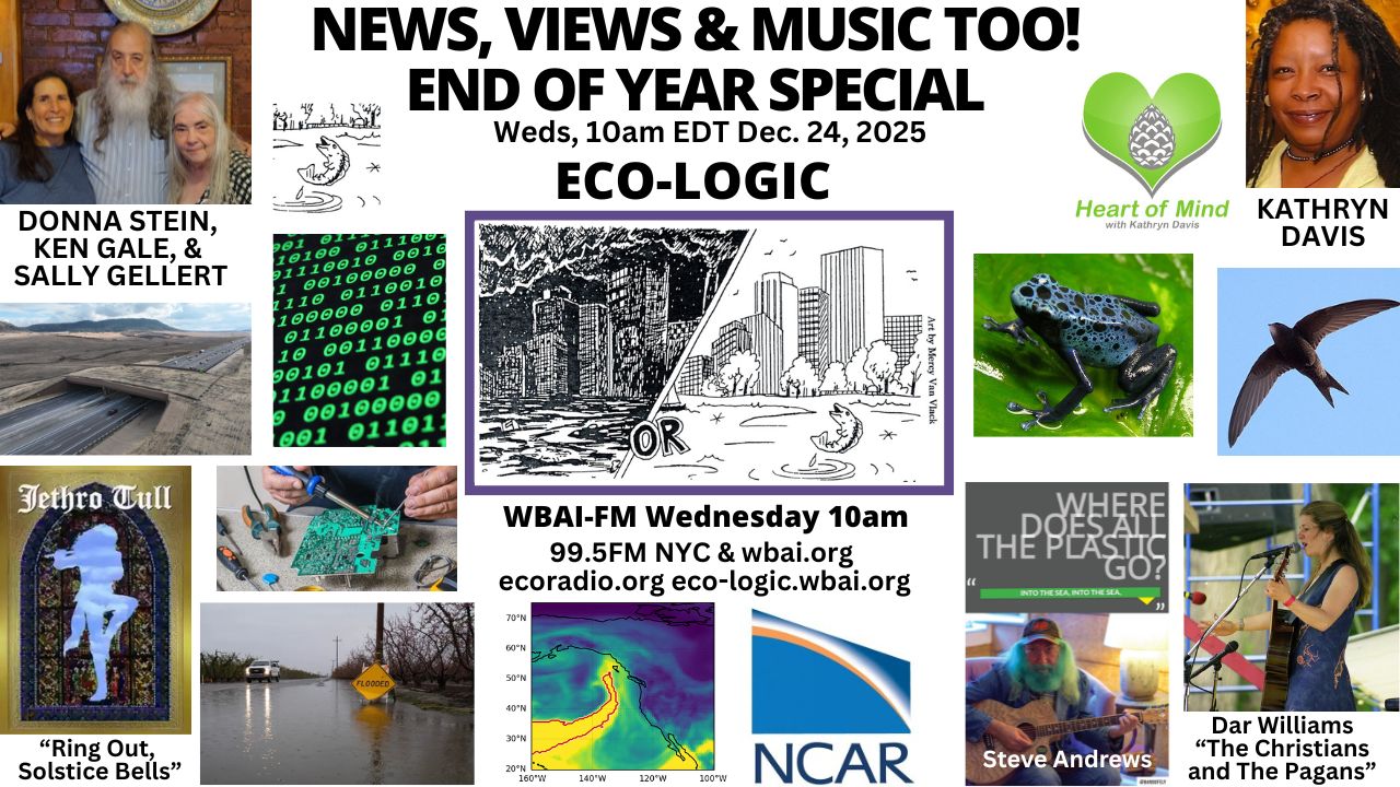 meme by Donna Stein with Sally Gellert, logo art by Mercy Van Vlack