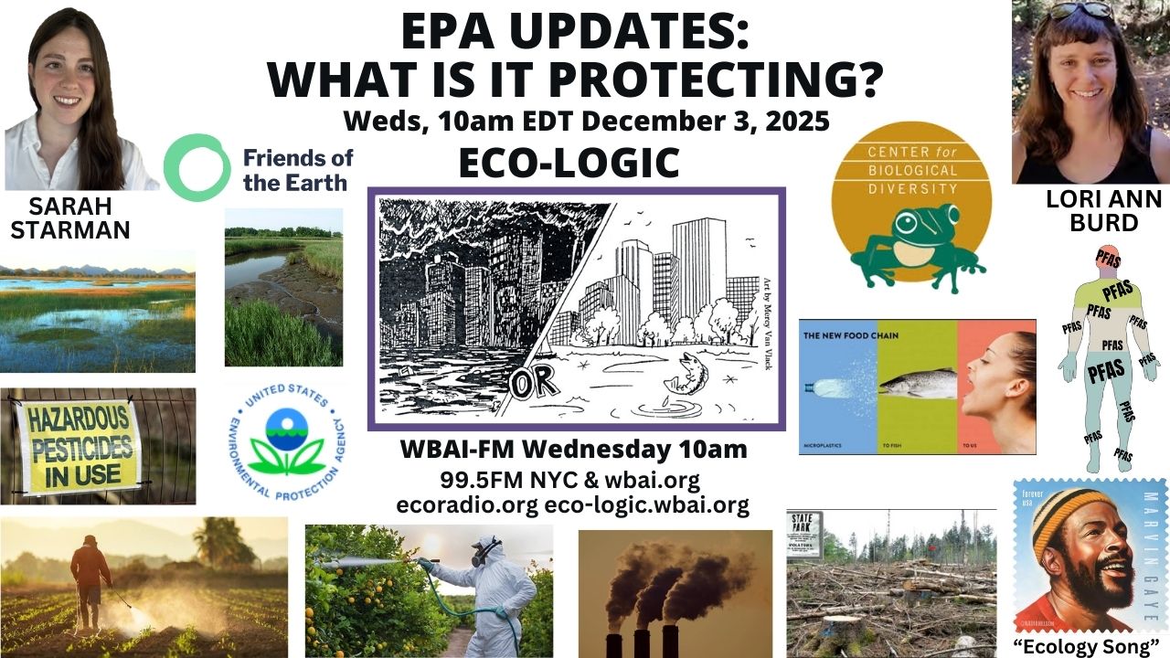 meme Eco-Logic 12-3-25 What Is EPA Protecting