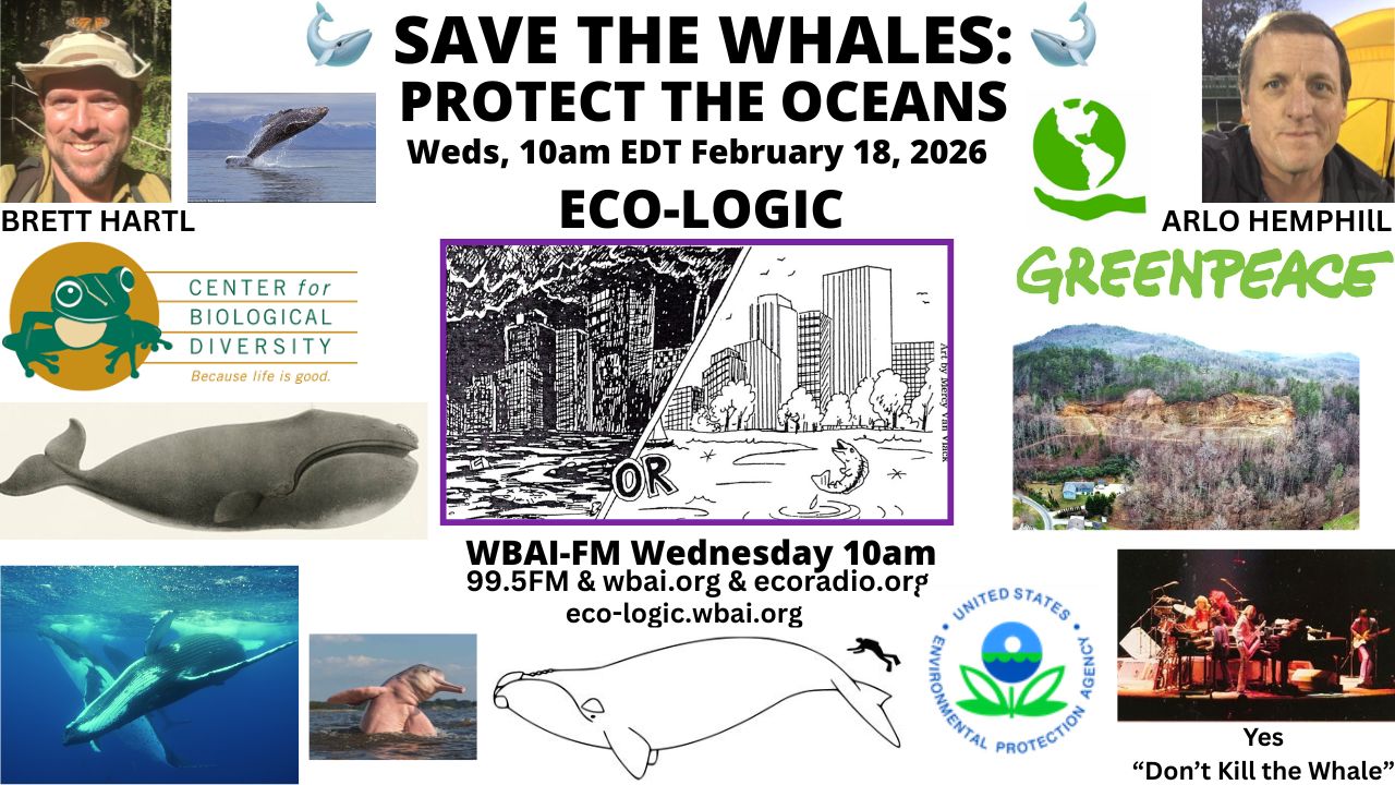 meme by Donna Stein with Sally Gellert, logo art by Mercy Van Vlack