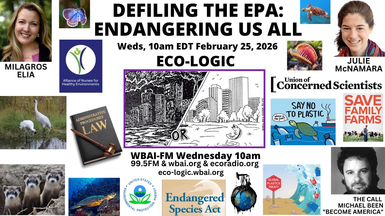meme Eco-Logic 2-25-26 EPA Endangerment Finding