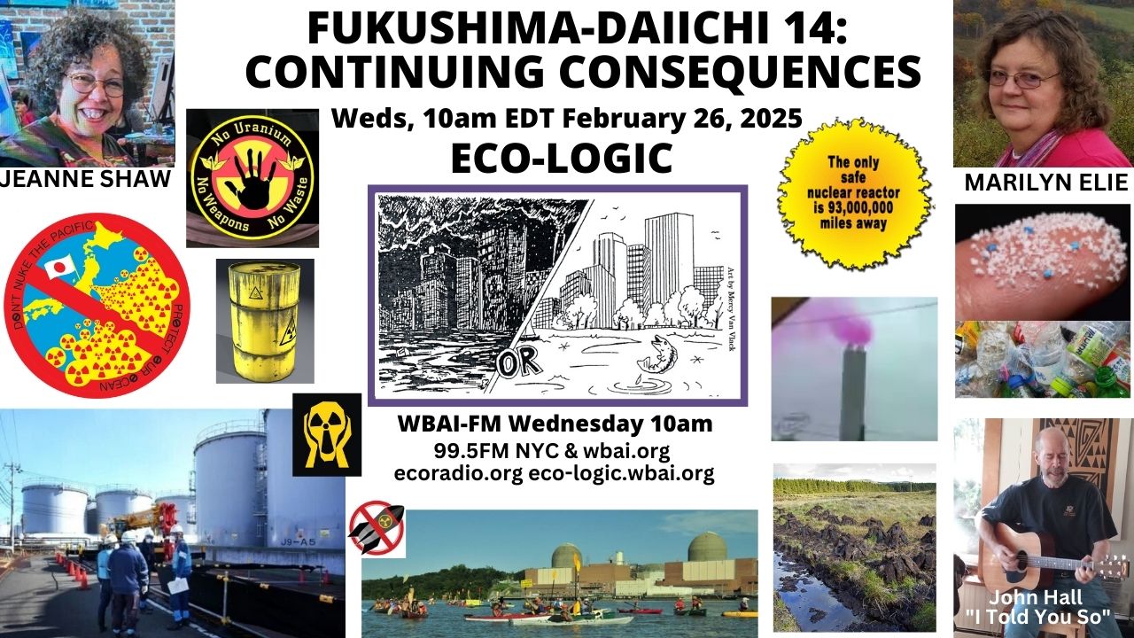 meme Eco-Logic 2-26-25 Fukushima Daiichi Continuing Consequences