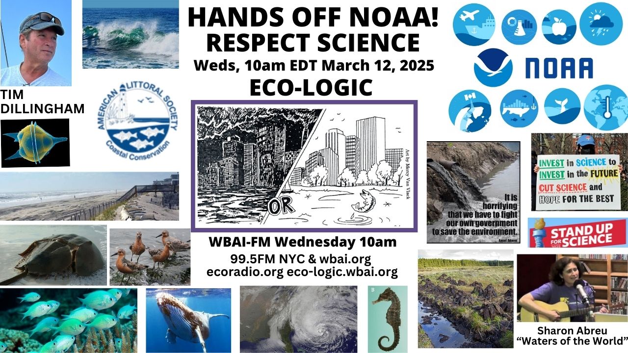 meme Eco-Logic 3-12-25 NOAA
