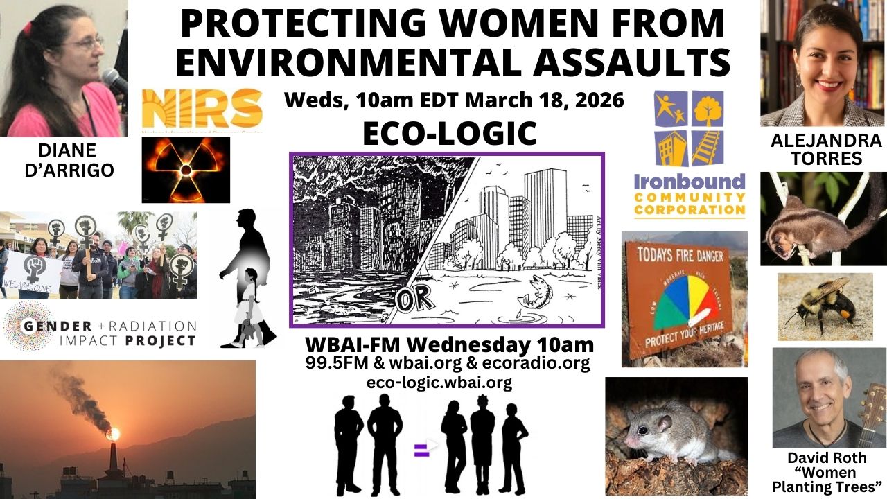 meme Eco-Logic 3-18-26 Protecting Women From Environmental Assaults