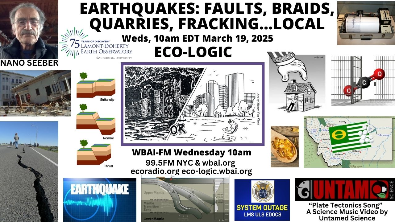 meme Eco-Logic 3-19-25 Earthquakes
