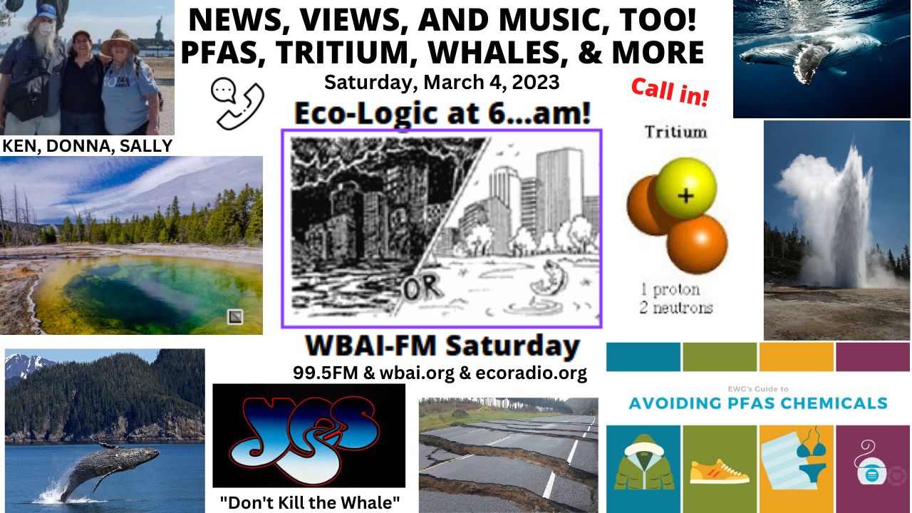 meme Eco-Logic 3-3-23 PFAS, Tritium, Whales, And More