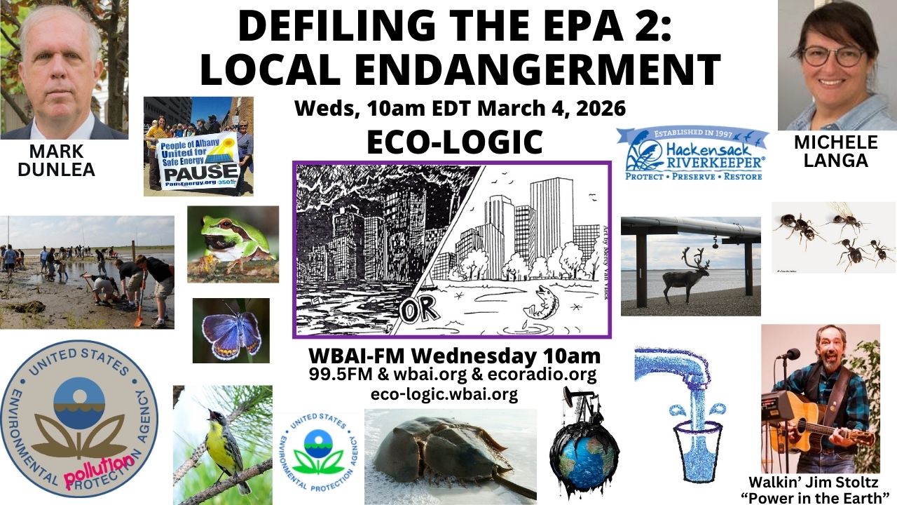 meme Eco-Logic 2-18-26 Save the Whales