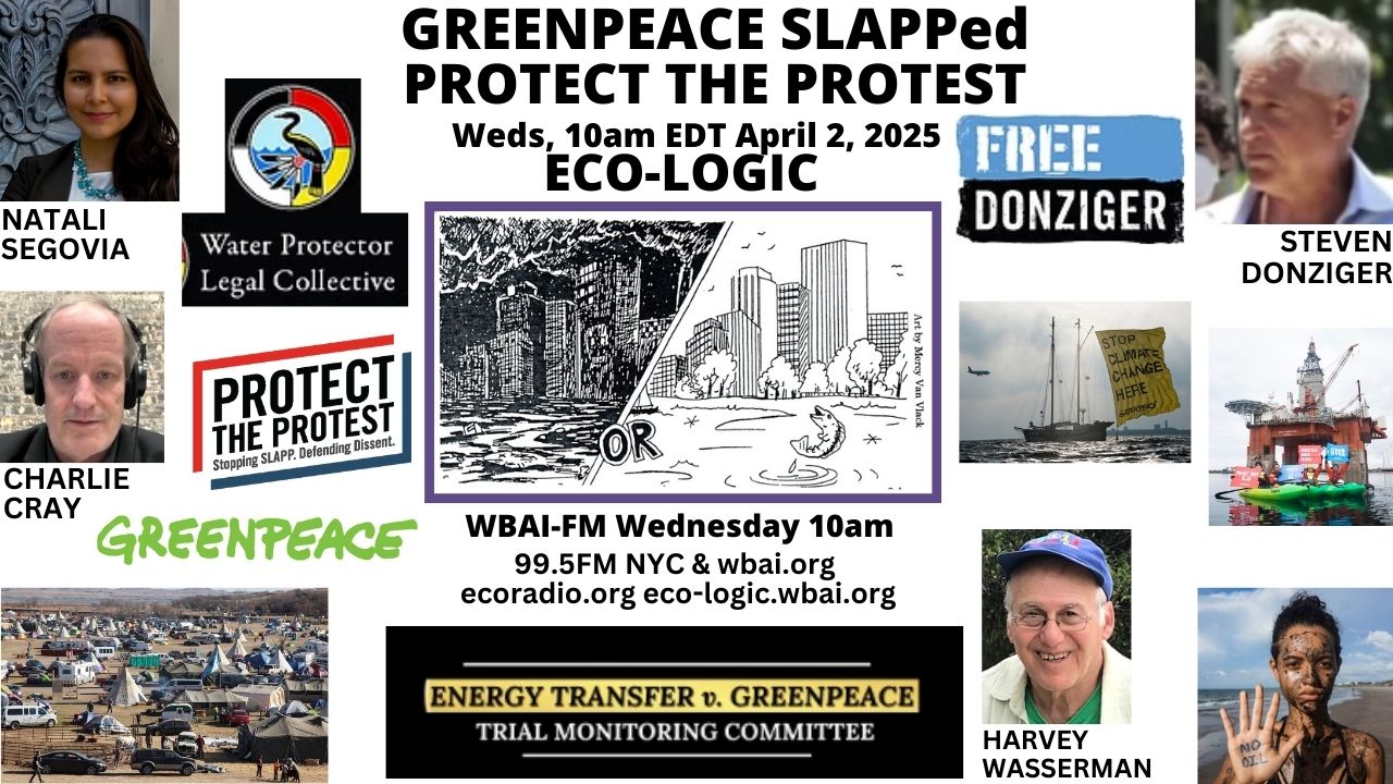 meme Eco-Logic 4-2-25 Greenpeace SLAPPed