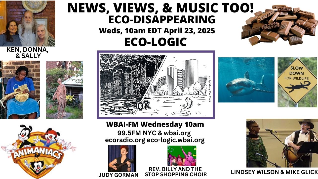 meme Eco-Logic 4-23-25 News Views Music