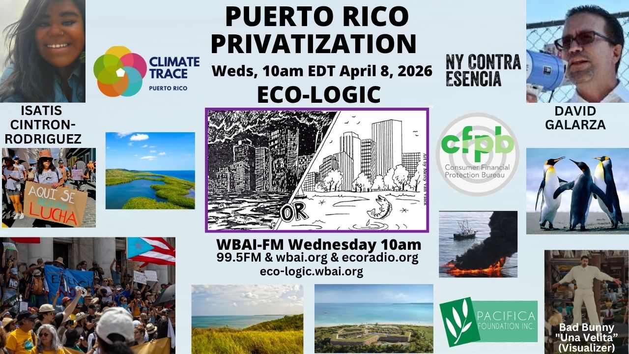 meme Eco-Logic 4-8-26 Privatization Puerto Rico