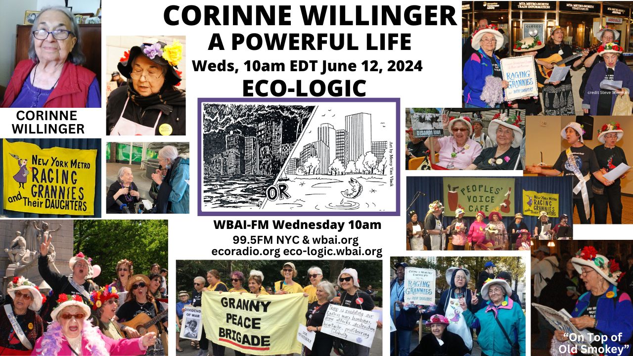 meme Eco-Logic 5-12-24 Corinne Willinger