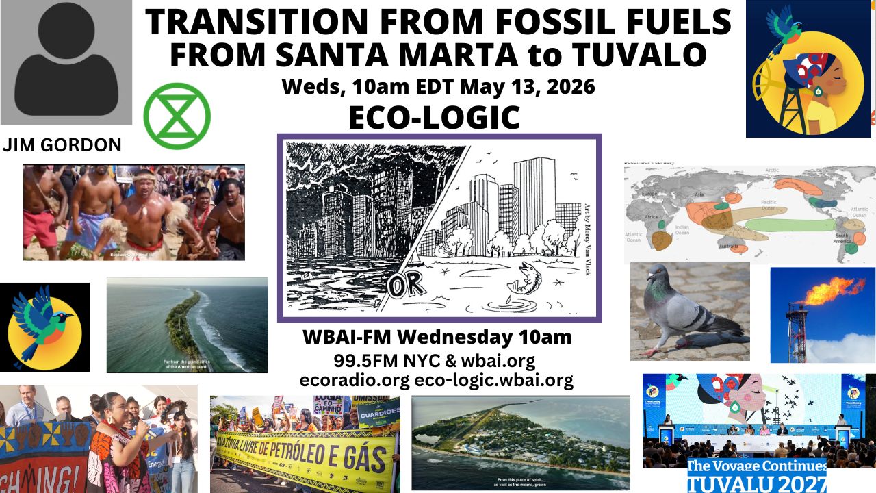 meme Eco-Logic 5-13-26 Transition from Fossil Fuels