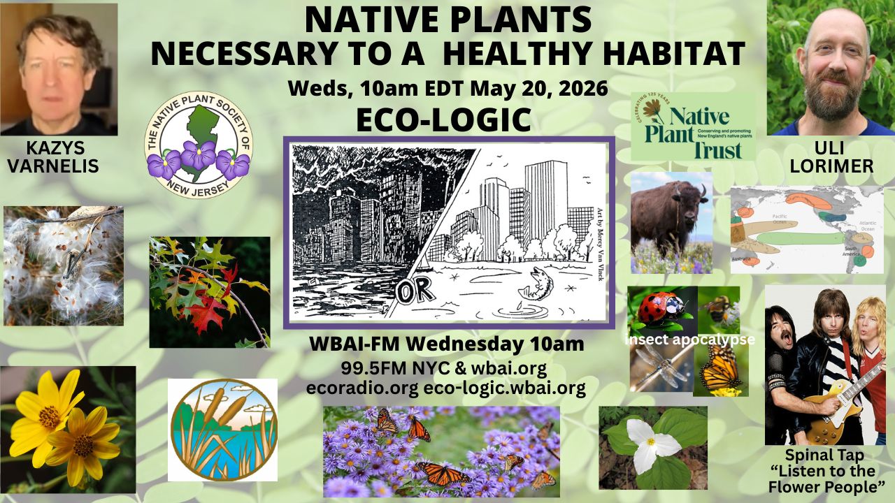 meme Eco-Logic 5-20-26 Native Plants