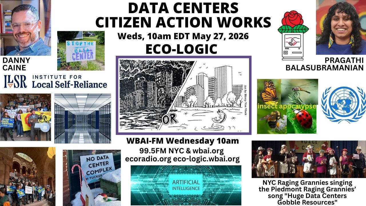 meme Eco-Logic 5-27-26 AI Data Centers
