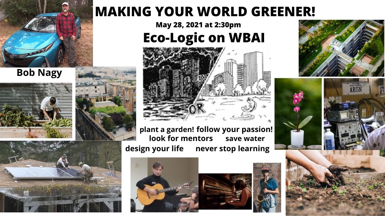 Making Your World Greener Eco-Logic May 28, 2021