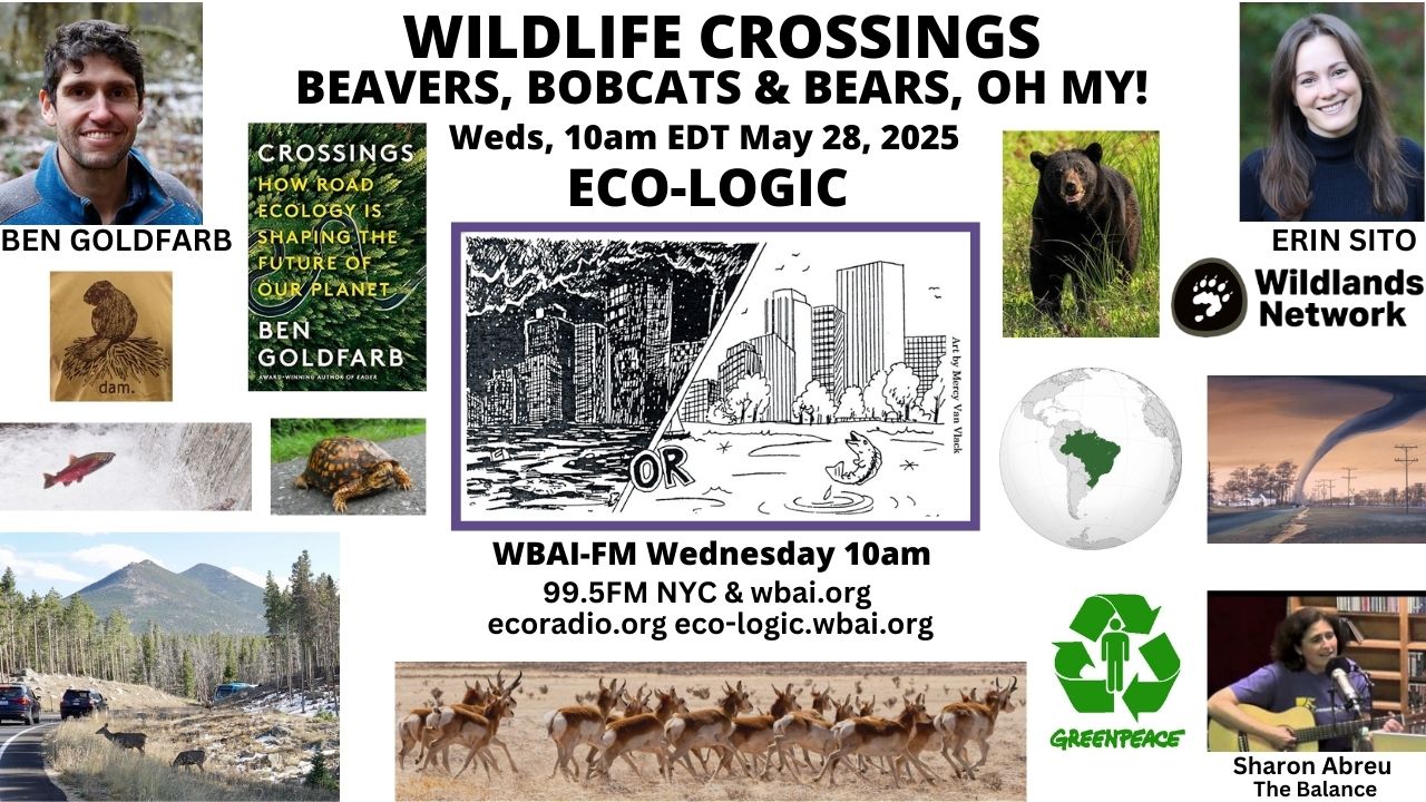 meme Eco-Logic 5-28-25 Wildlife Crossings