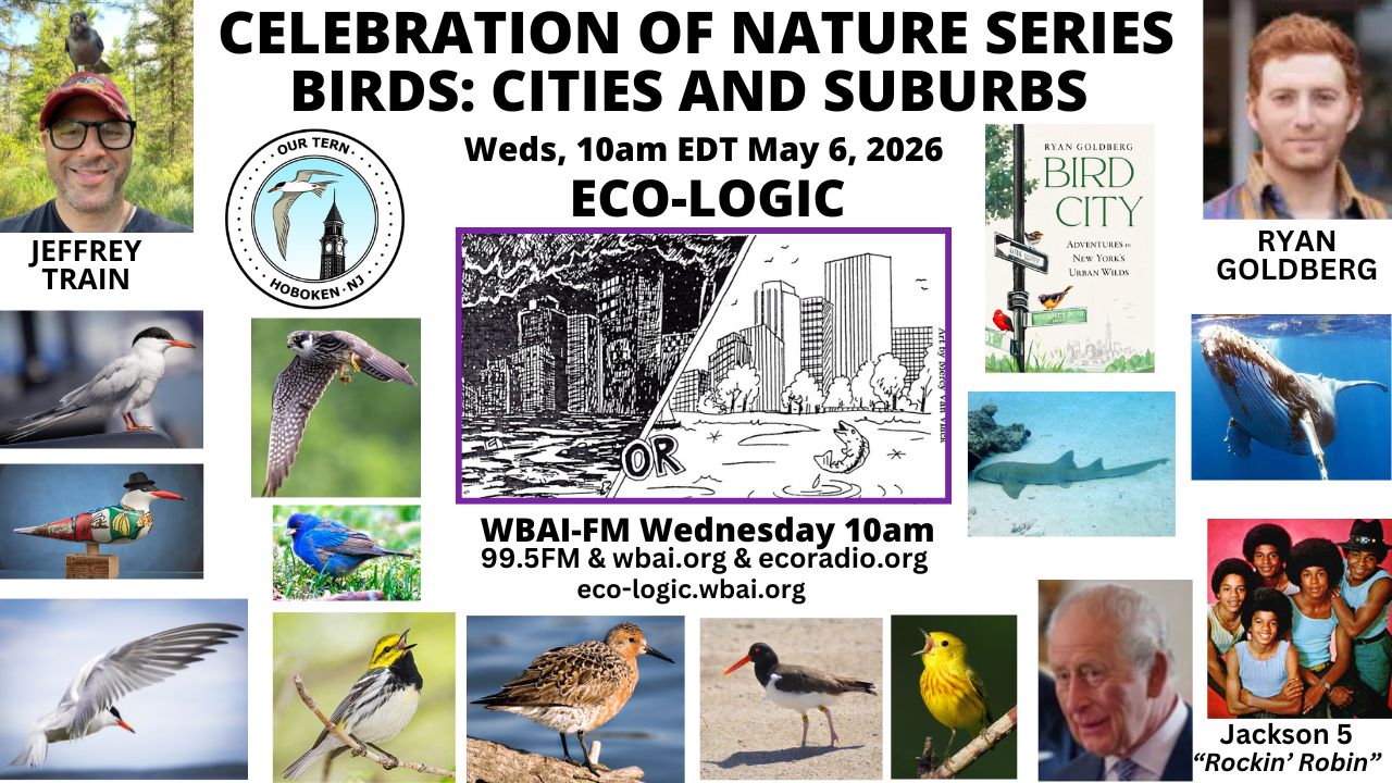 meme Eco-Logic 5-6-26 Birds Urban-Suburban