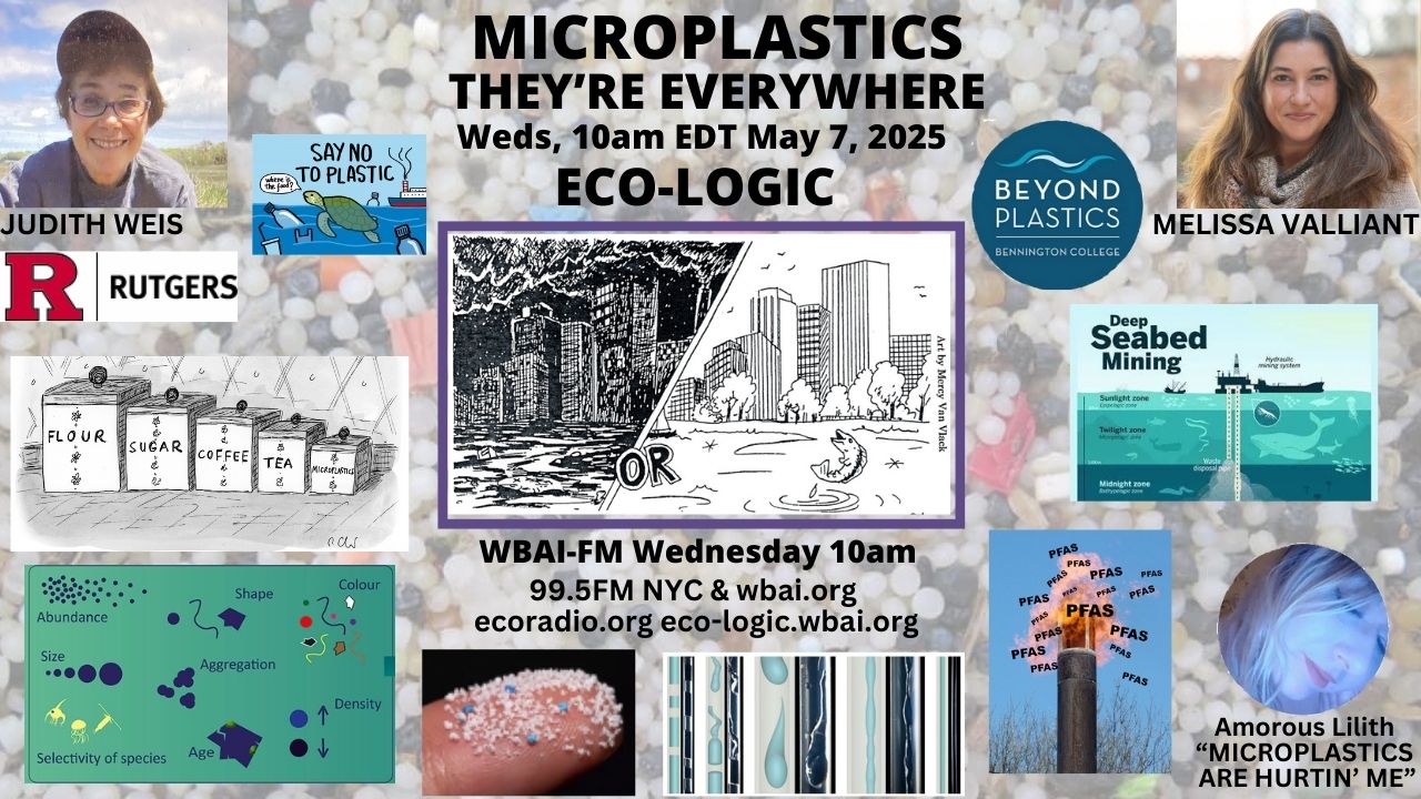 meme Eco-Logic 5-7-25 Microplastics