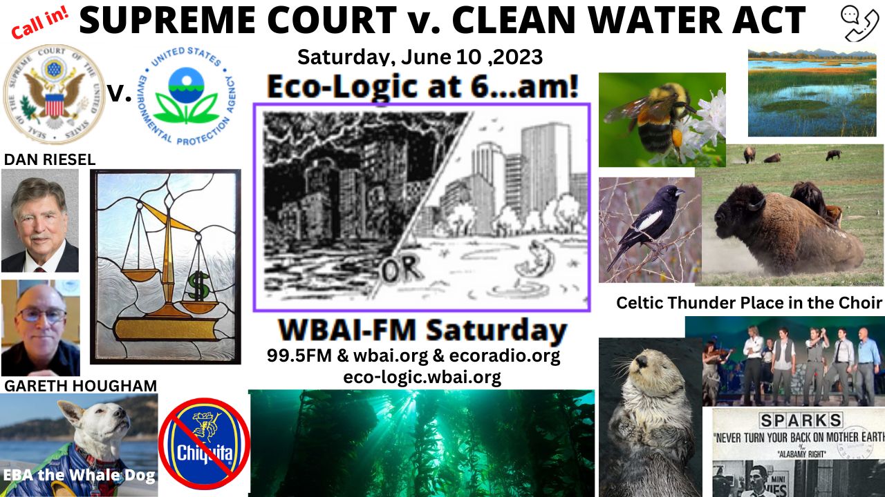 meme Eco-Logic 6-10-23 Supreme Court v Clean Water