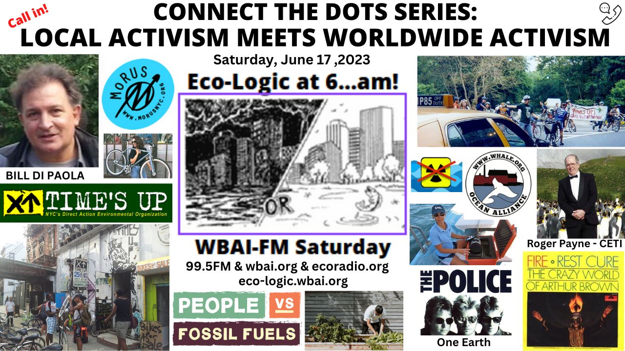meme Eco-Logic 6-17-23 Local Activism Meets Worldwide Activism
