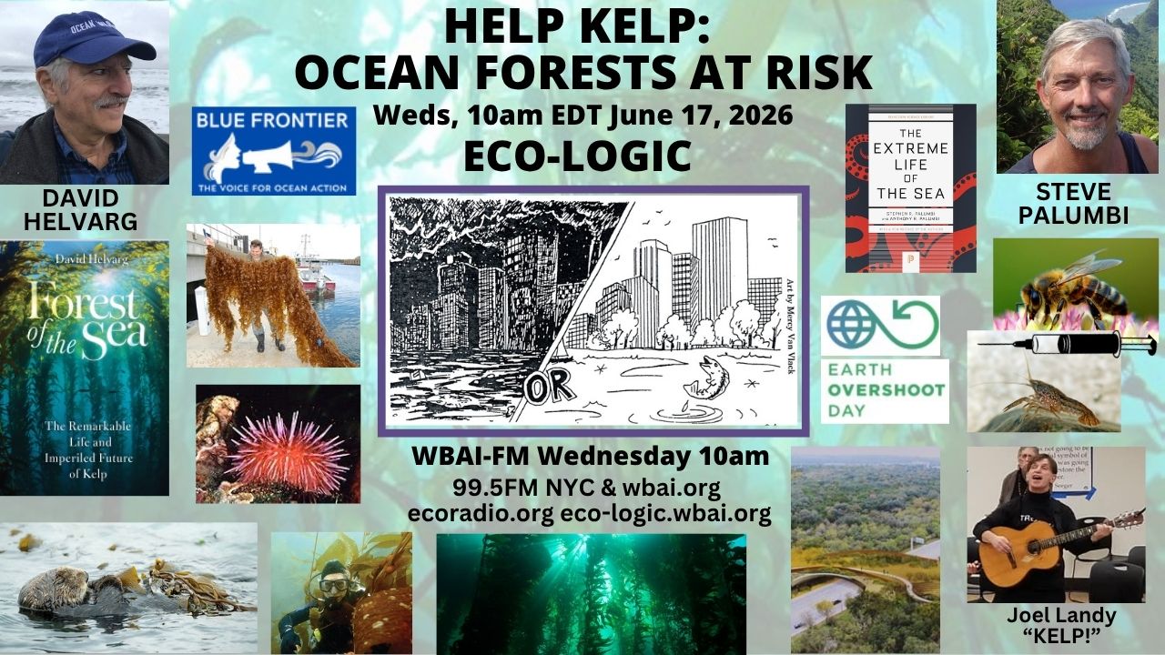 meme Eco-Logic 6-17-26 Help Kelp - Ocean Forests at Risk