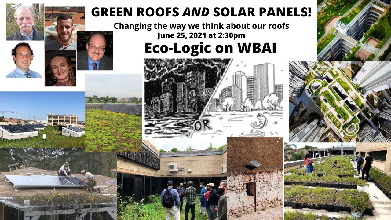 Green Roofs episode of Eco-Logic