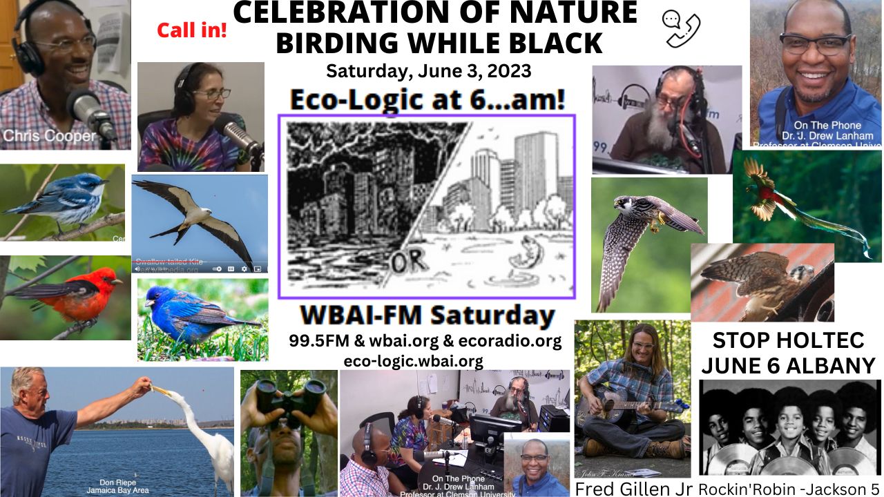 meme Eco-Logic 6-3-23 Nature 4 All Birding While Black