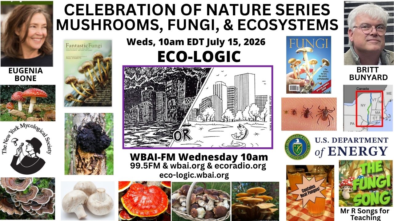 meme Eco-Logic 7-15-26 Mushrooms and Fungi and environment