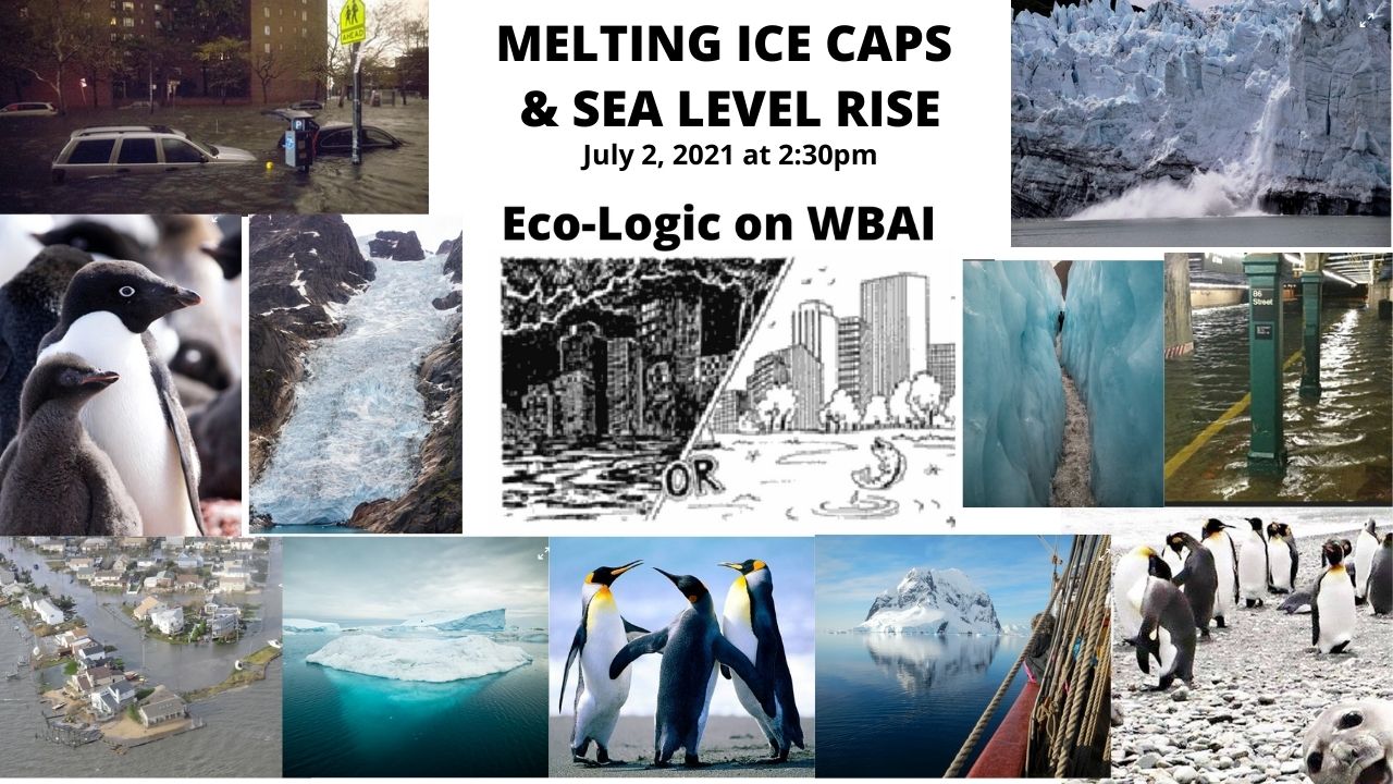 Antarctica Melting episode of Eco-Logic
