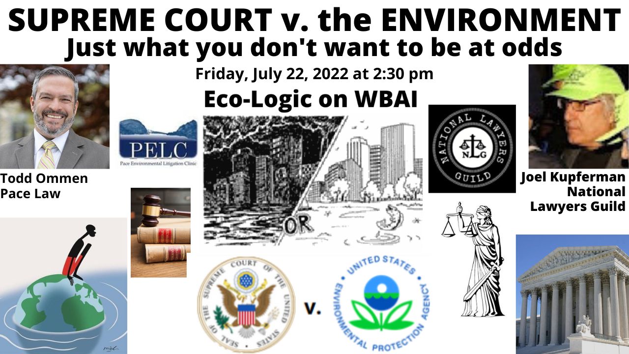 Eco-Logic meme 7-22-22 Supreme Court v EPA