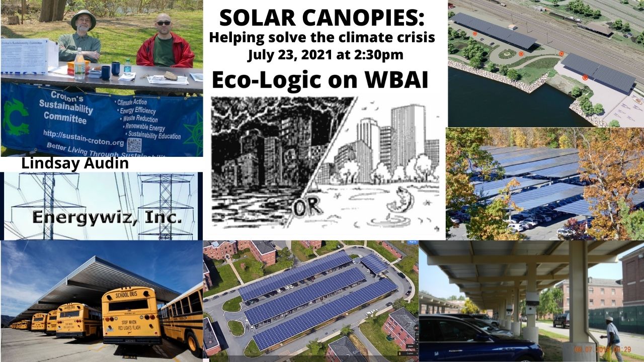 Eco-Logic 7-23-21 Solar Canopies meme by Donna Stein, art by Mercy Van Vlack